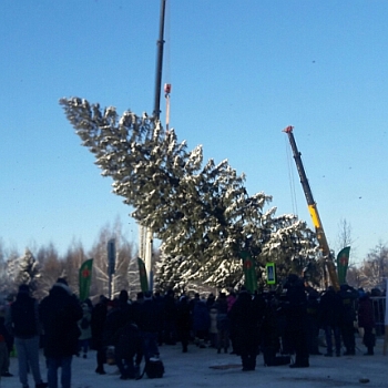 Сотрудники МЧС России обеспечили безопасность народных гуляний на месте срубки главной новогодней елки страны 